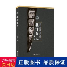 北洋简史 中国历史 王静