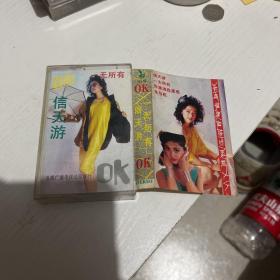 磁带-信天游 一无所有OK