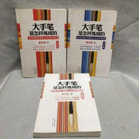 大手笔是怎样炼成的：修炼篇，实践篇，语言篇(3本和售)