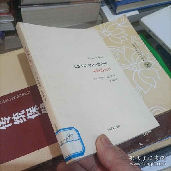 杜拉斯百年诞辰作品系列：平静的生活