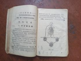 供小学三年级学生用.卫生常识.山东省济宁地区革委会政治部教育组印
