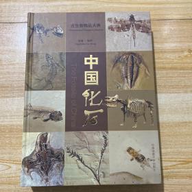 中国化石（古生物精品大典）