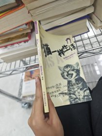 像猫一样生活