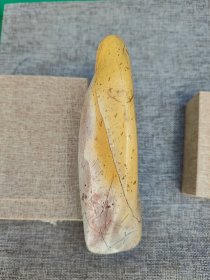 叶林心，男，1966年10月出生，福建闽侯人，师从韩天衡先生 。福建省人民政府授予“福建省工艺美术大师”，中国民协寿山石专业委员会授予“中国寿山石雕刻名家”。 现任福建商学院艺术设计学院院长、教授 ，福建省书法家协会第五届副主席