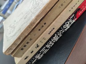 李自成/隋唐演义/茶花女/戴笠秘档 四本打包