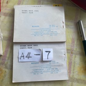 《古代少年英雄传奇》陆文龙归宋