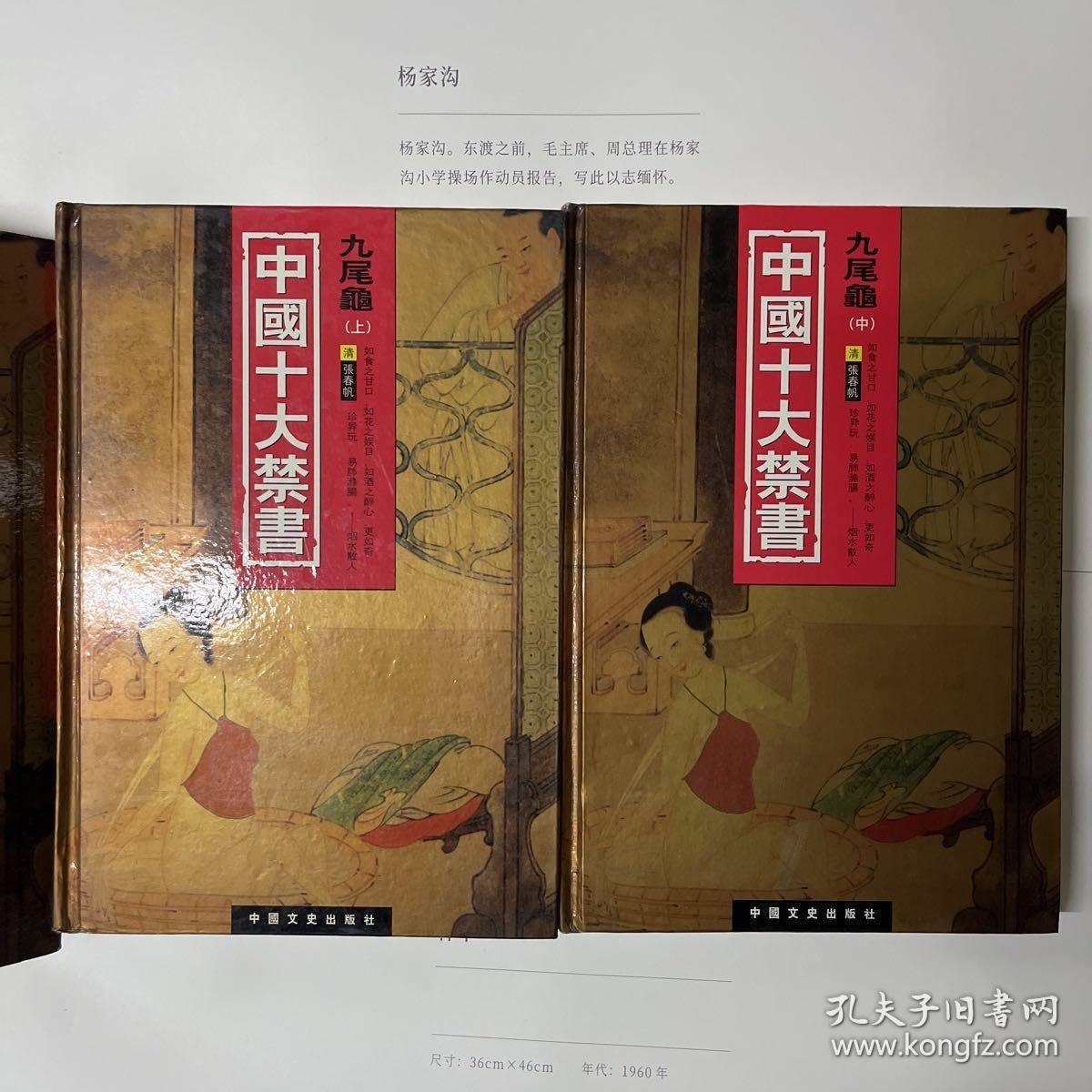 中国十大禁书：《剪燈新话》《醋葫芦》《品花宝鉴》《隔簾花影》《国色天香》《飞花艳想》《空空幻》《玉楼春》《红楼春梦》 《九尾龟》共12册全