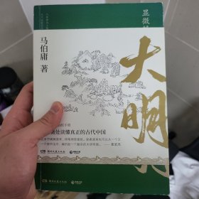 显微镜下的大明（马伯庸全新作品）