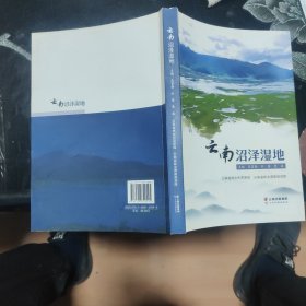 云南沼泽湿地