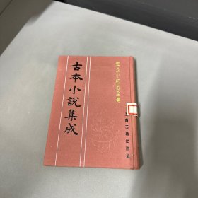 古本小说集成 海公小红袍全传 自然老化黄斑不影响阅读