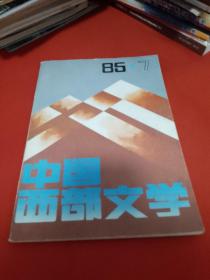 中国西部文学