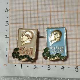 祝寿章要万寿无疆彩色一对