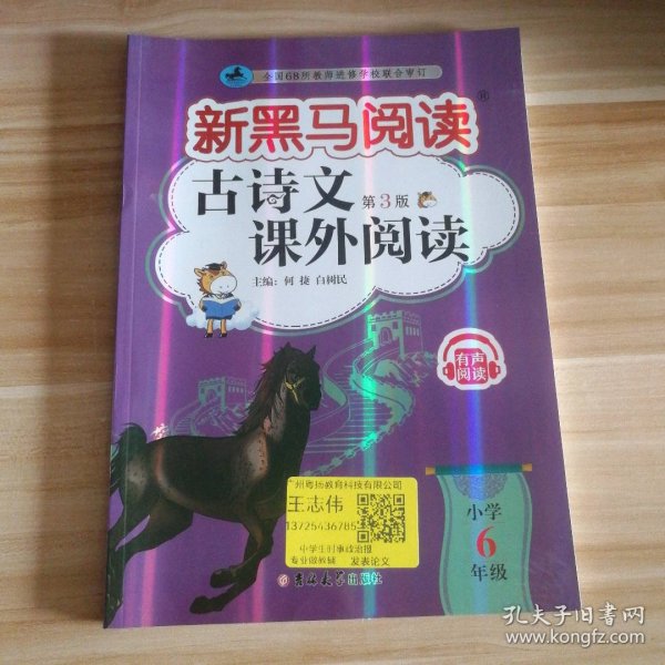 2024新版黑马阅读六年级现代文课外阅读+古诗文课外阅读6年级语文古诗文阅读理解专项训练人教版（套装2册）