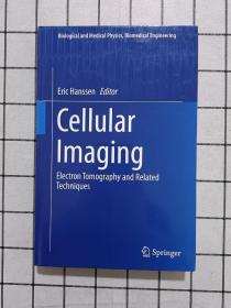 Cellular Imaging: Electron Tomography and Related Techniques