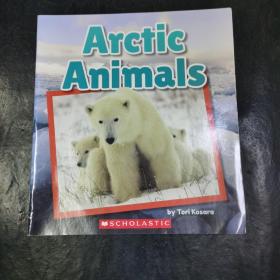 Arctic Animals