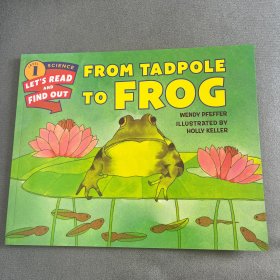 From Tadpole to Frog