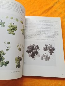 案头画范·杨乾亮画鸟