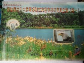 家用電器電路系列叢書-新編國內(nèi)外大屏幕多制式彩色電視機(jī)電路全集(續(xù)一)   8開本