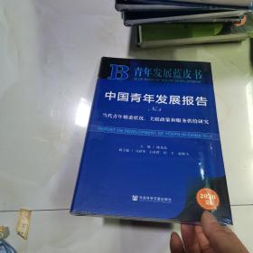 中国青年发展报告NO.4