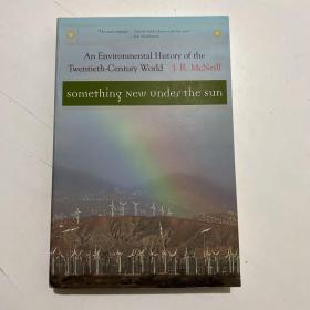 Something New Under the Sun：An Environmental History of the Twentieth-Century World