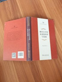 现代大中型企业的经营与发展(中华当代学术著作辑要)