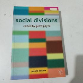 Social Divisions 社会分化