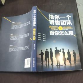 给你一个销售团队，看你怎么带