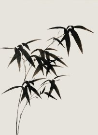 -▆无款传统墨竹小品5张一套（4）