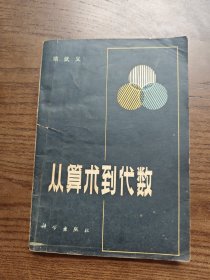 数学小丛书 从算术到代数