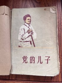 党的儿子