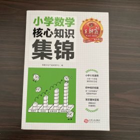 2023王朝霞小学核心知识集锦数学基础知识大盘点一二三四五六年级小学知识大全考试总复习小升初衔接工具书数学小学通用