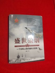 盛世狼烟：一个空军上校的国防沉思录