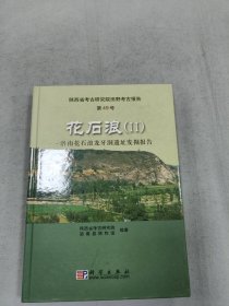 花石浪2：洛南花石浪龙牙洞遗址发掘报告