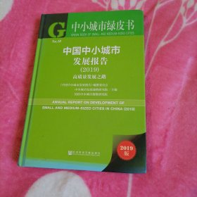 中小城市绿皮书：中国中小城市发展报告（2019）