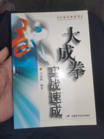 大成拳實戰(zhàn)速成