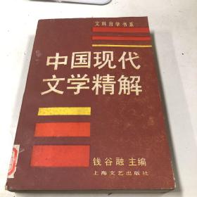 中国现代文学精解