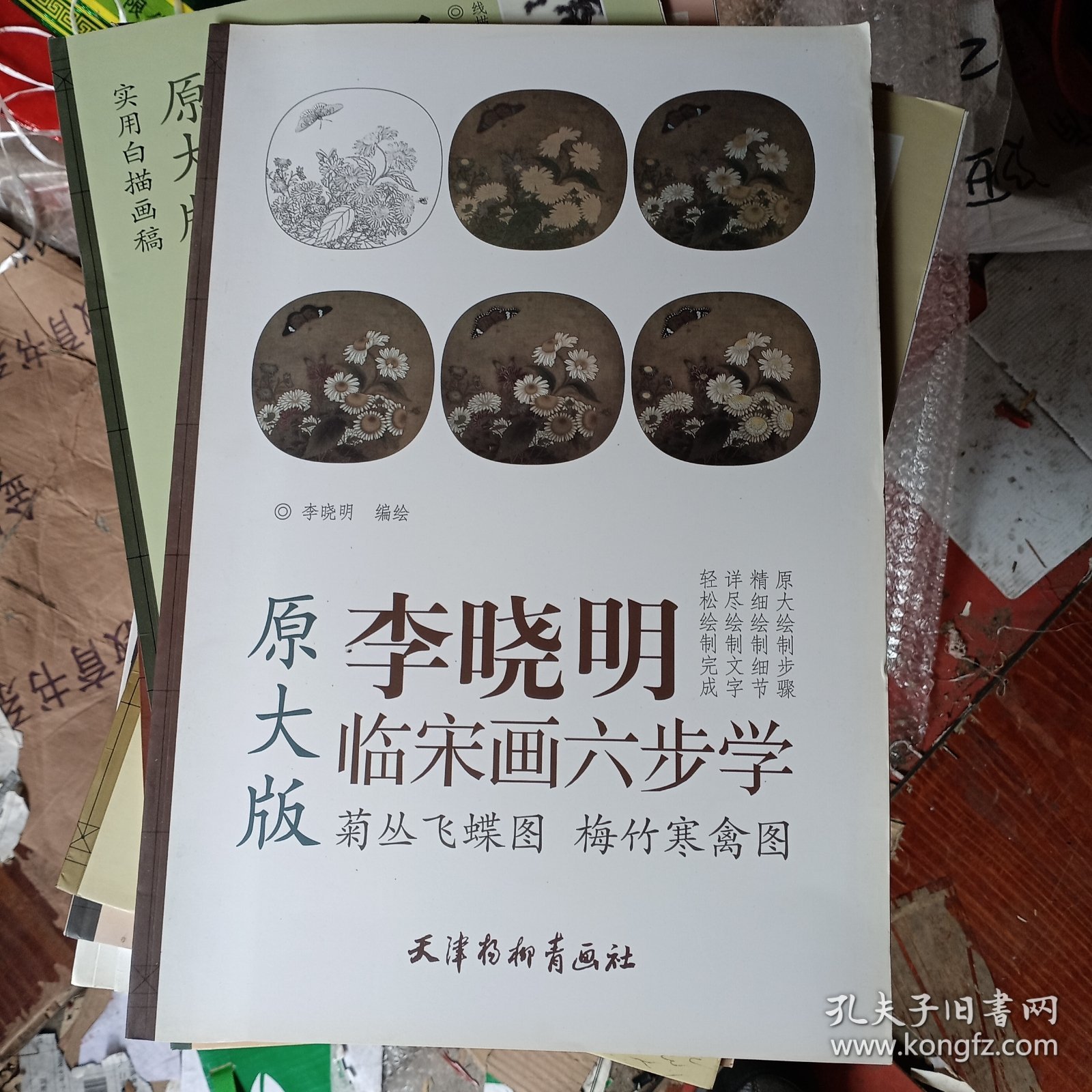 李晓明临宋画六步学原大版：菊丛飞蝶图 梅竹寒禽图