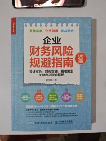 企业财务风险规避指南 会计实务