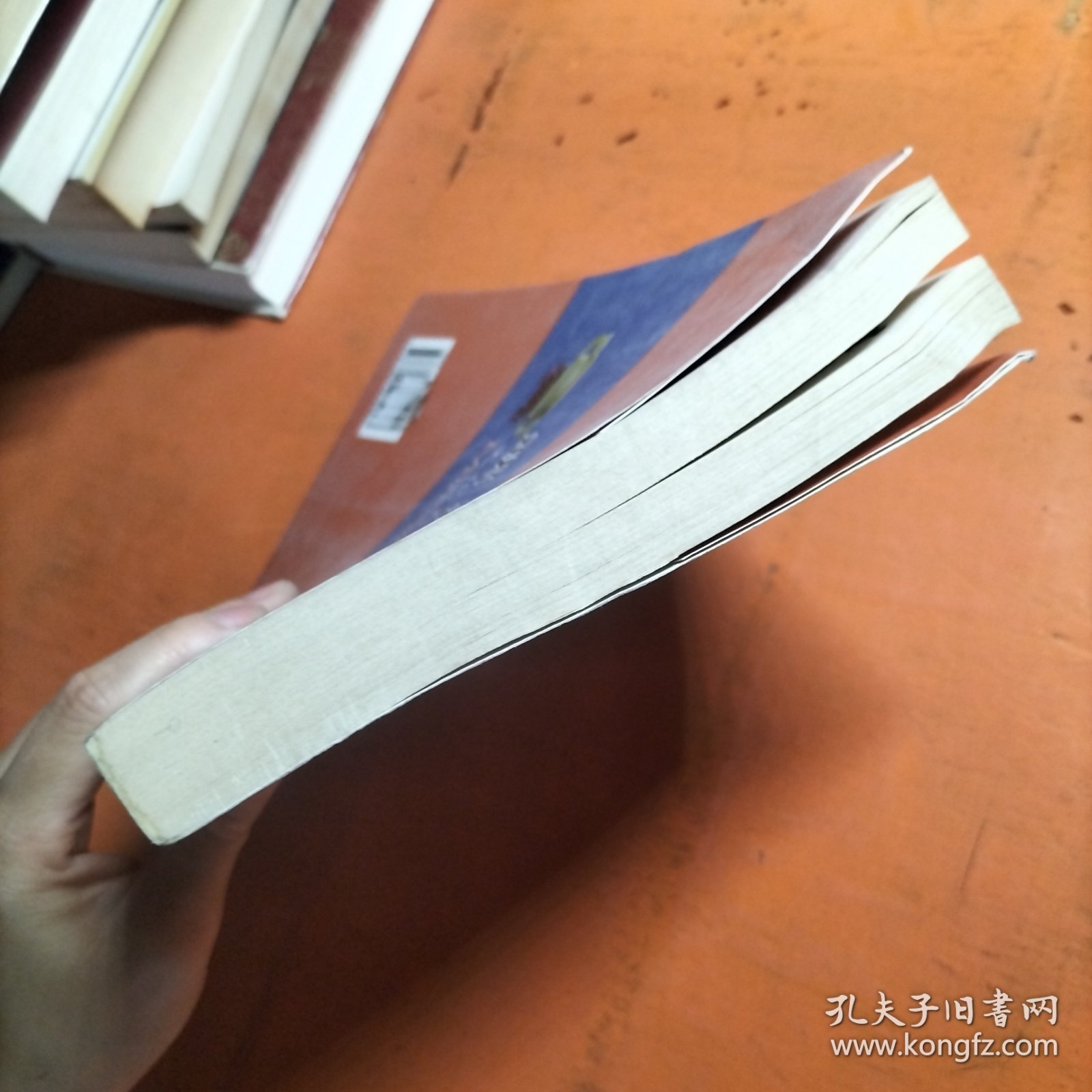 明清文化大观