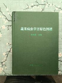 蔬菜病虫草害原色图谱 2005一版一印