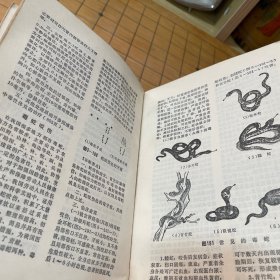 农村常见病防治手册