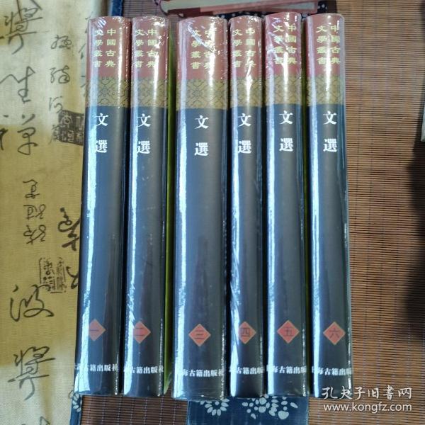 文选(全六册)(精)(中国古典文学丛书）