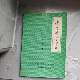 辽阳县文史资料 第二集（铁架1）