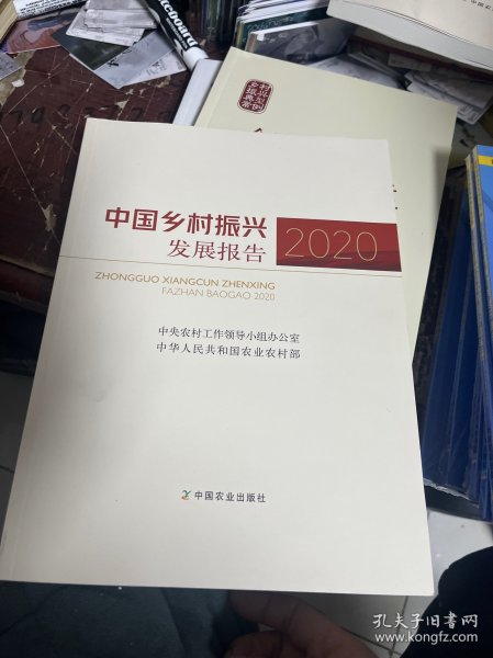 中国乡村振兴发展报告(2020)