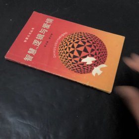 智慧、逻辑与爱情