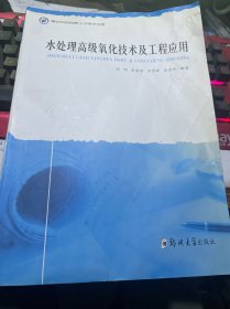 水处理高级氧化技术及工程应用（原版二手 书脊及边角略有磕碰如图）