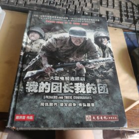 大型电视连续剧我的团长我的团（14DVD）