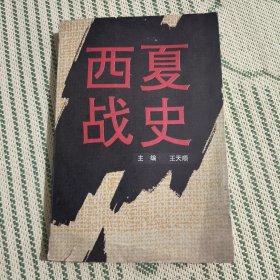 西夏战史