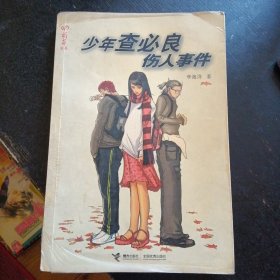 《少年查必良伤人事件》（接力出版社2005年1月1版1印）（包邮）