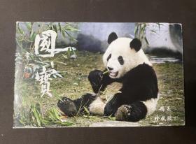 国宝大熊猫精美珍藏版 10枚一套 摄影版 中国邮政明信片